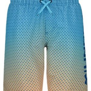 UA Gradient Logo Volley Boys' Volley Shorts