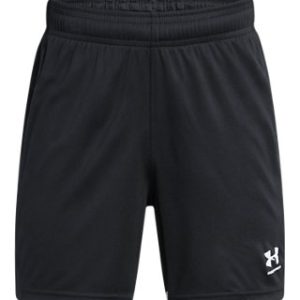 UA Challenger Boys' Shorts