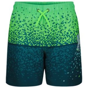 UA Gamer Eng Boys' Volley Shorts