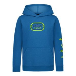 UA Fish Patches Boys' Hoodie